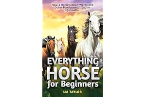 Everything Horse For Beginners: How a Horse’s Brain Works and Other Fundamental Equine Information