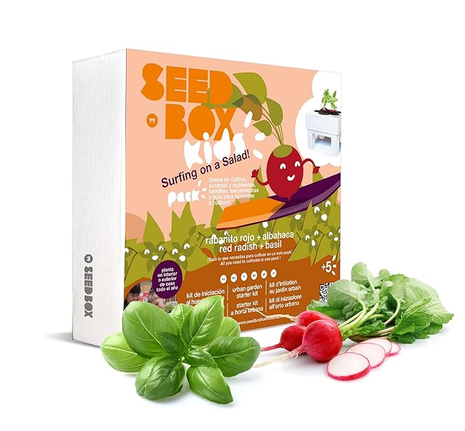 Seedbox Seed Box SBKSS - Salad, Verde, 19x6x19 cm: Amazon.es: Jardín