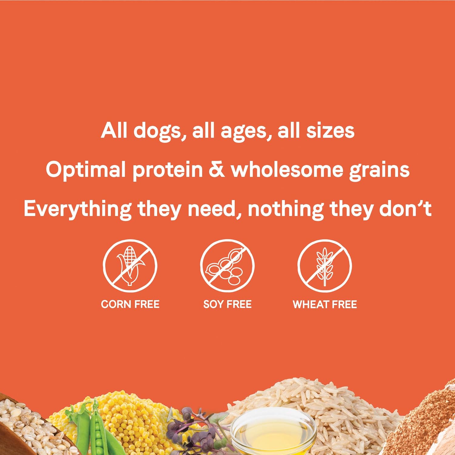 canidae dog food lamb and rice