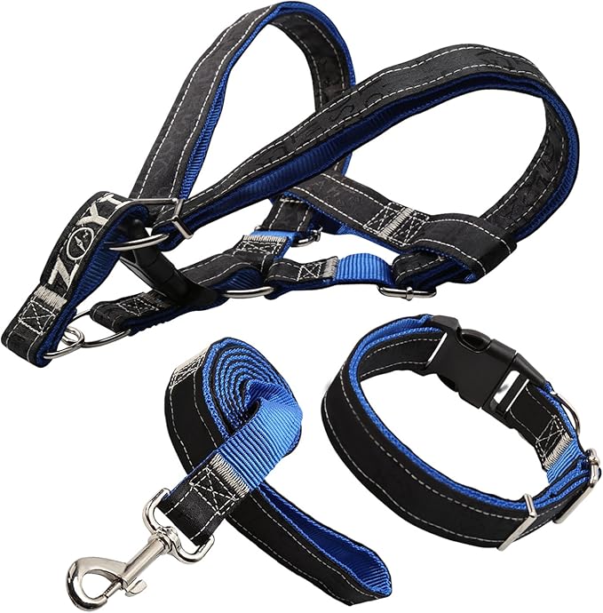 funshion shock collar