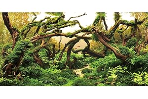 AWERT 48x24 inches Aquarium Background Branches Aquarium Background Aquatic Plant River Bed & Lake Fish Tank Background Vinyl Background
