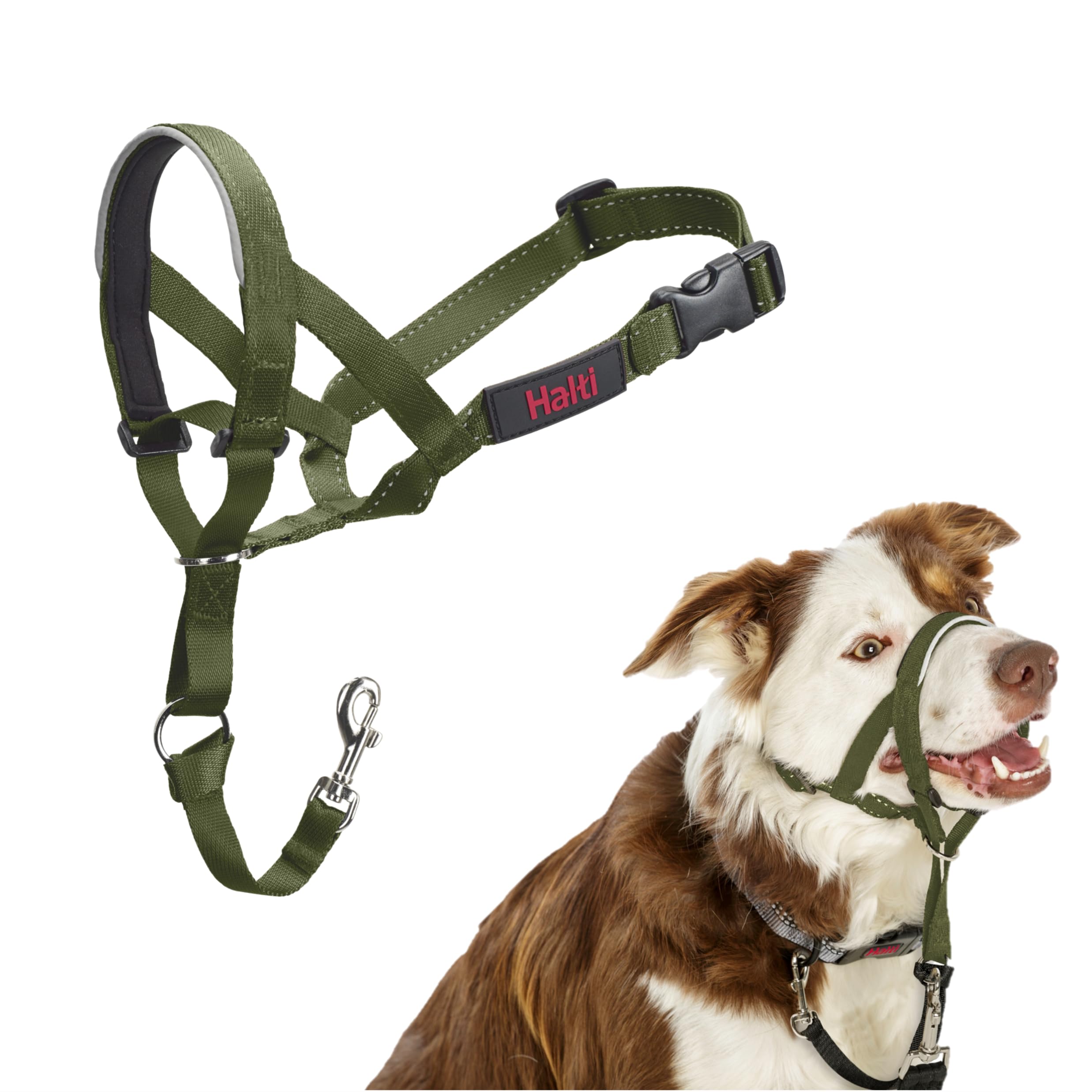 Halti Headcollar - Stop Your Dog Pulling on the Lead. Adjustable, Reflective and Lightweight, with Padded Nose Band. Dog Training Anti-Pull Collar for Medium Dogs (Size 2, Forest Green)