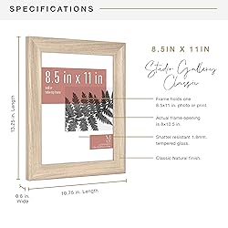 MCS Studio Gallery Classic 8.5x11 Picture Frame