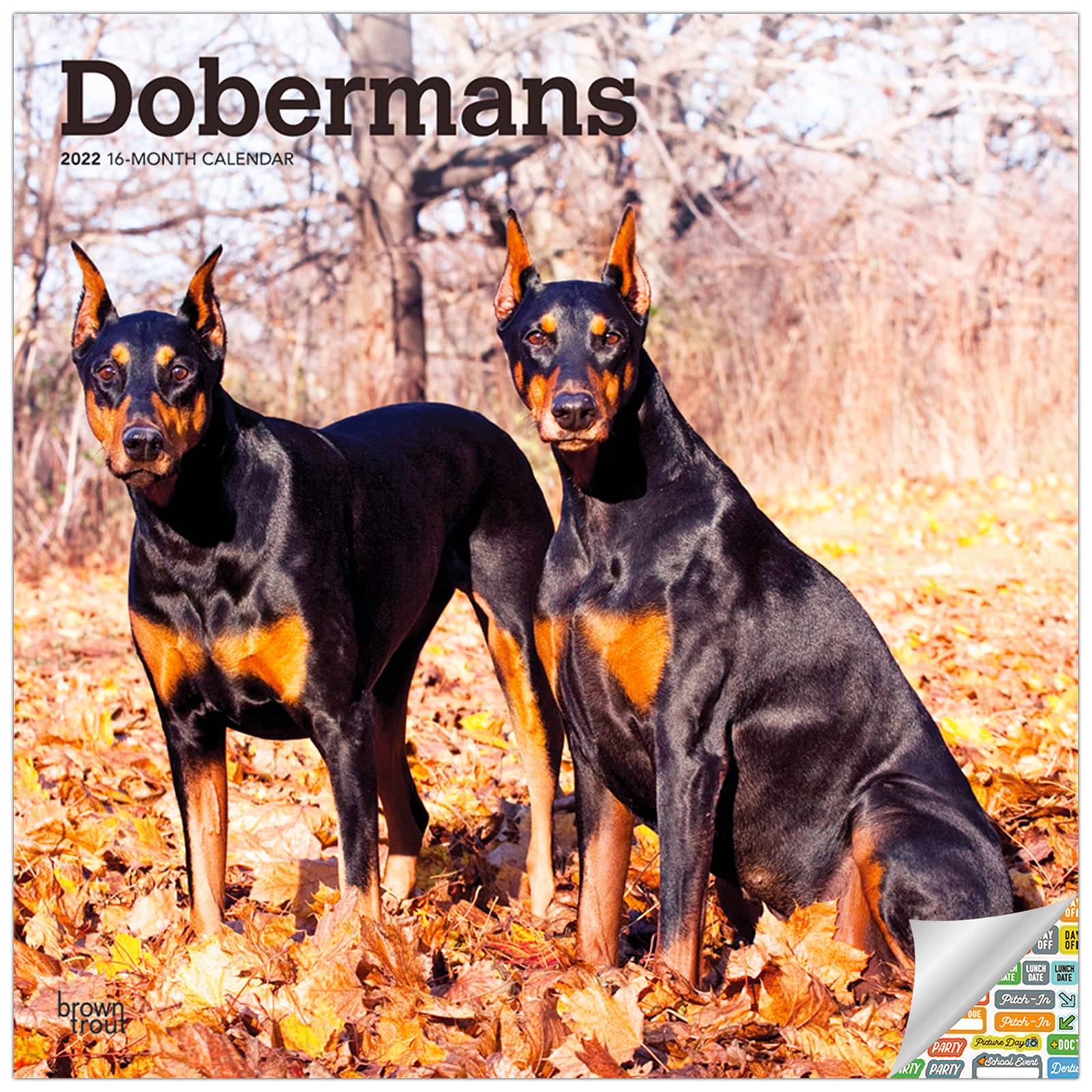 7+ Doberman calendar 2022 image ideas