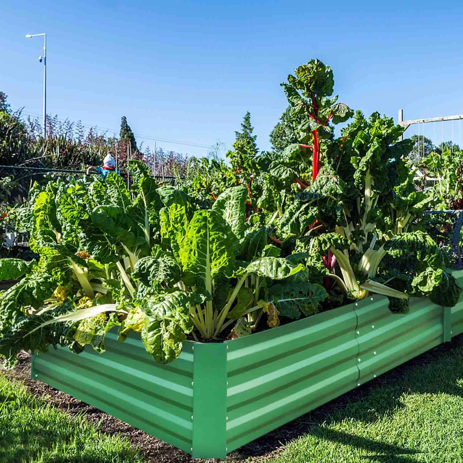 FOYUEE - Cajas elevadas de jardín, para Plantar Camas de jardín ...