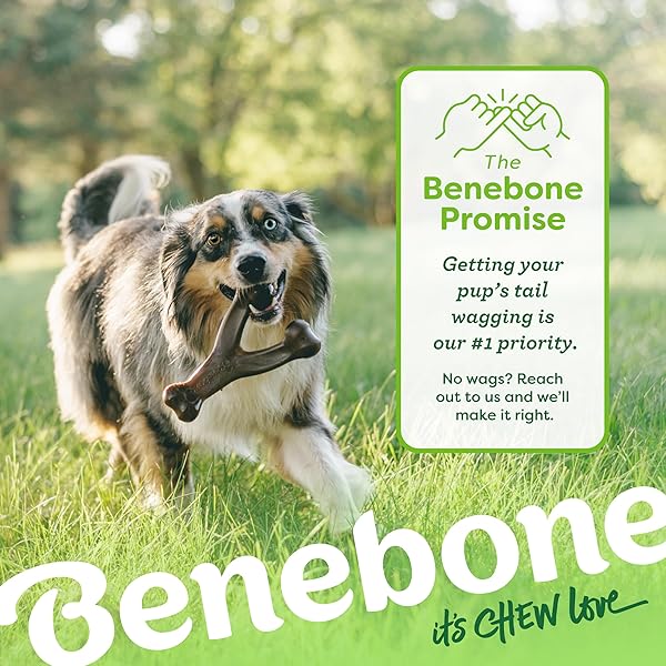 BENEBONE WISHBONE DURABLE DOG CHEW TOY FOR AGGRESSIVE CHEWERS, MADE IN USA, SMALL, REAL BACON FLAVOR