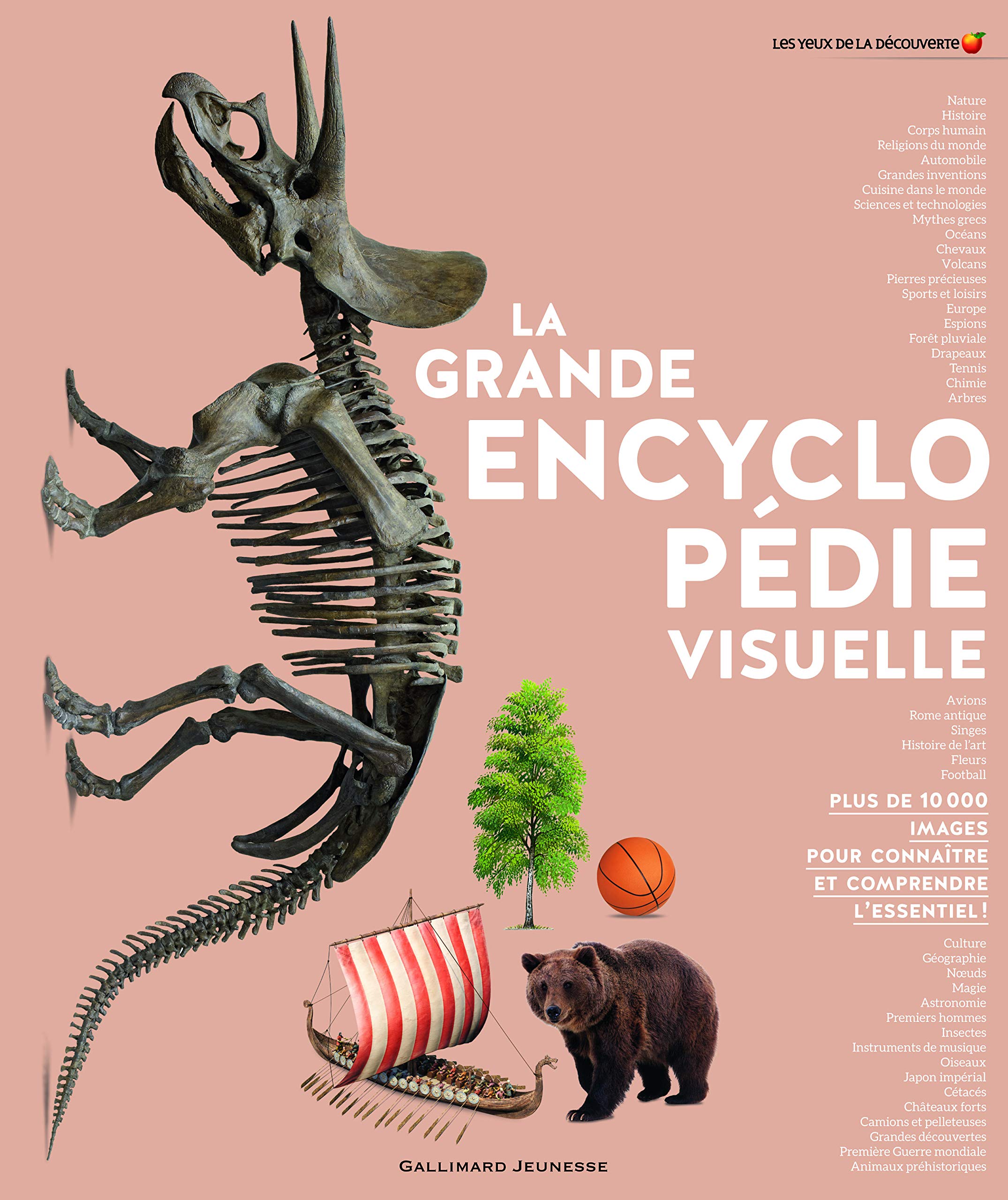La Grande Encyclopedie Visuelle Encyclopedie Gallimard Jeunesse 210779 French Edition Collectif 9782070599592 Amazon Com Books