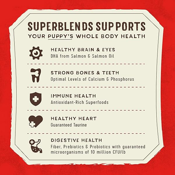 STELLA & CHEWY’S SUPERBLENDS RAW COATED WHOLESOME GRAINS PUPPY CAGE-FREE CHICKEN & WILD-CAUGHT SALMON RECIPE WITH SUPERFOODS, 3.5 LB. BAG