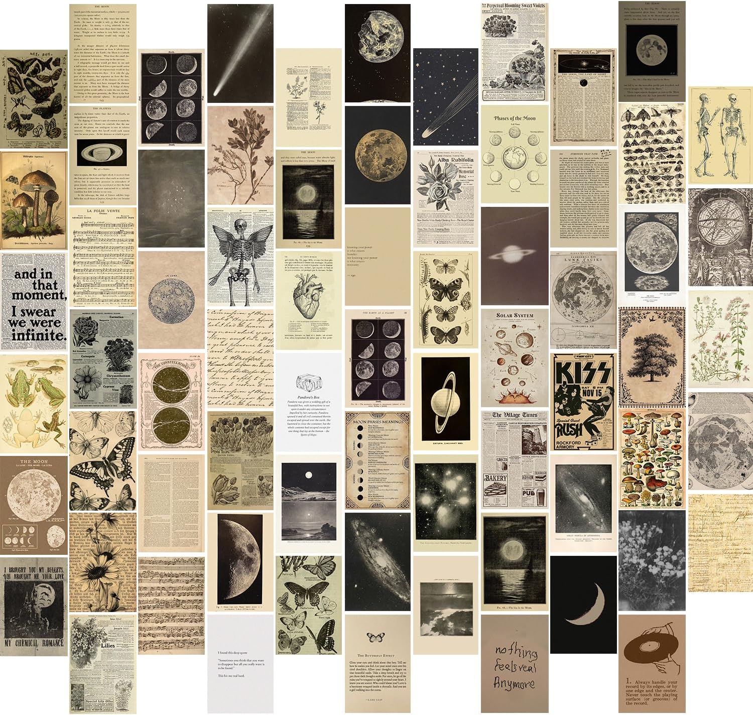 Mixed Media - KBKBART Vintage Wall Collage Kit Aesthetic Pictures, 70pcs Retro Cottagecore Room Decor, Cute Photo Collage Posters for Room Aesthetic, Vintage Botanical Posters 4