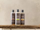 Urtekram Chamomile Shampoo for Blond Hair 250ml Organic Vegan Cruelty Free view 3