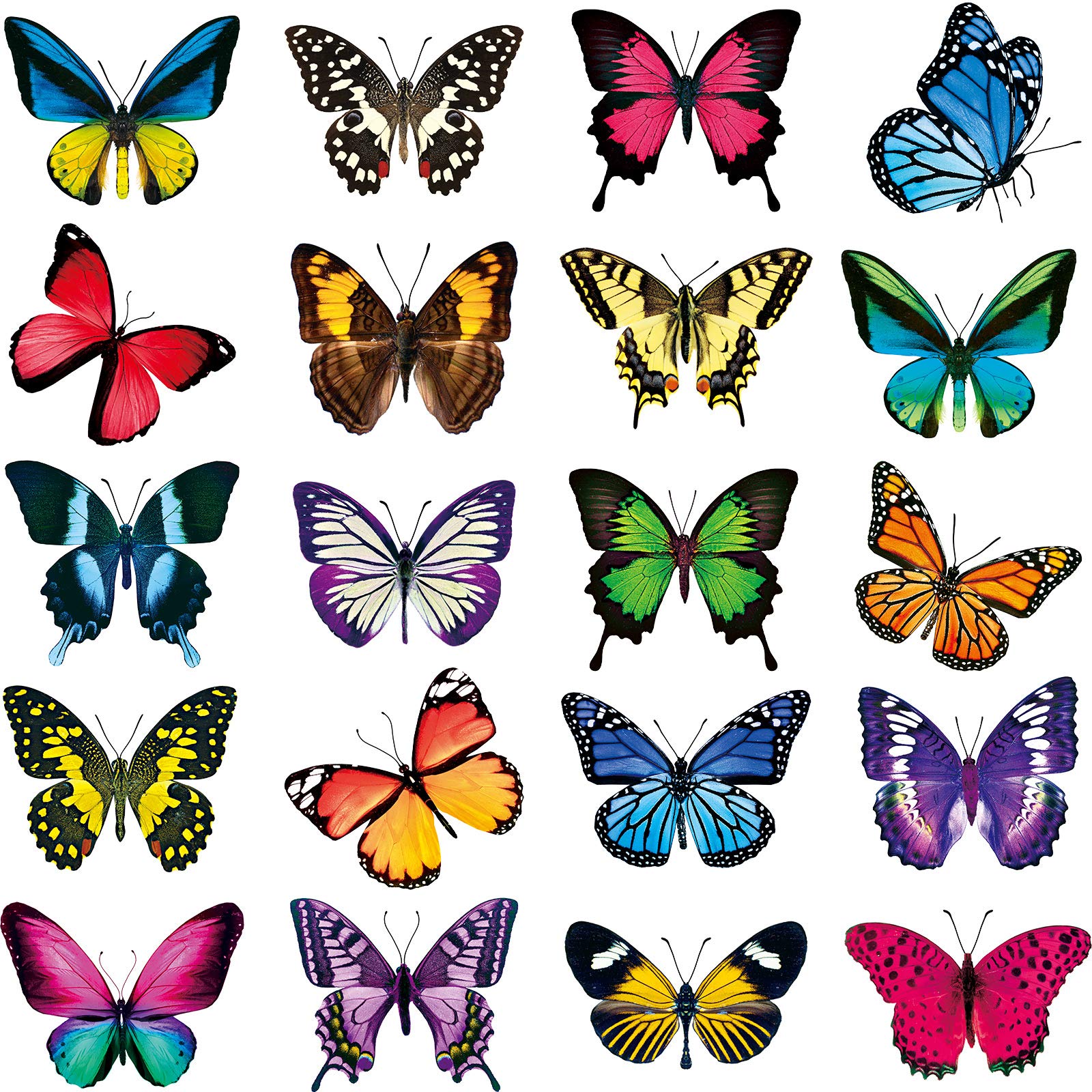 Frienda Large Size Butterfly Window Clings Anti-Collision Window Clings Decals to Prevent Bird Strikes on Window Glass Non Adhesive Vinyl Cling Butterfly Stickers (40)