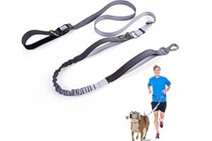 JETOG Heavy Duty Hands Free Dog Leash, 5-7 FT Reflective Adjustable Waist Dog Leash Belt with Padded Handles, Shock Absorbing Bungee and Car Seat Belt for Large Medium Dogs (Gradient Smoke, XL)