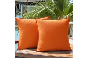 NASIGORENG Pack of 2 Waterproof Pillow Covers Decorative Outdoor Pillows Sofa Cushion Covers Garden Spring Pillowcase Couch Cushion Cases for Patio Balcony Tent Sunbrella Beach Deck 20x20 Inch Orange