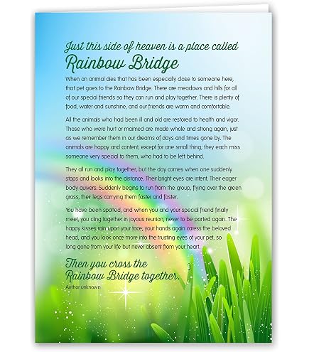 Dog Speak Rainbow Bridge Sympathy Card – Trauerkarte Für Verstorbene Haustiere, 12,1x17,1 Cm