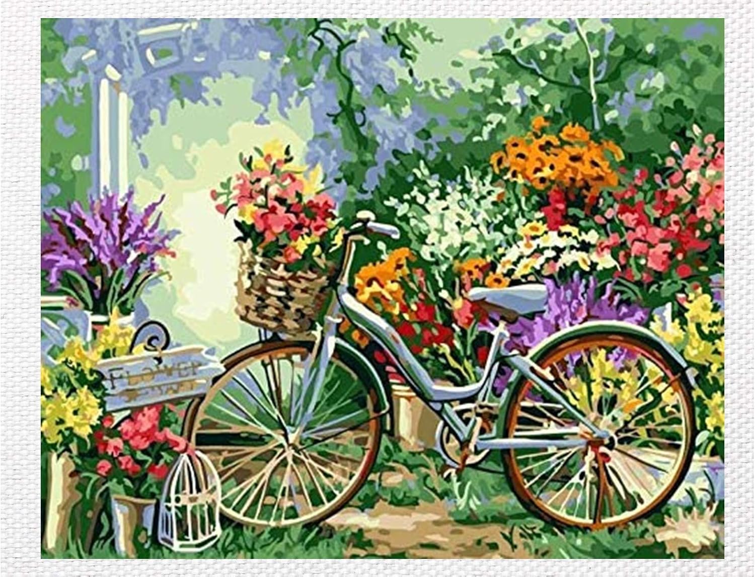 Paint by Numbers for Adults Rolled Canvas Kits for