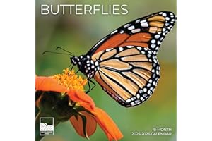 Butterflies Wall Calendar 2026 | 12" x 24" Open | Giftable Nature Calendar 2026 | Thick & Sturdy Paper for Organizing & Planning | Pacific Waters Press (Butterflies)