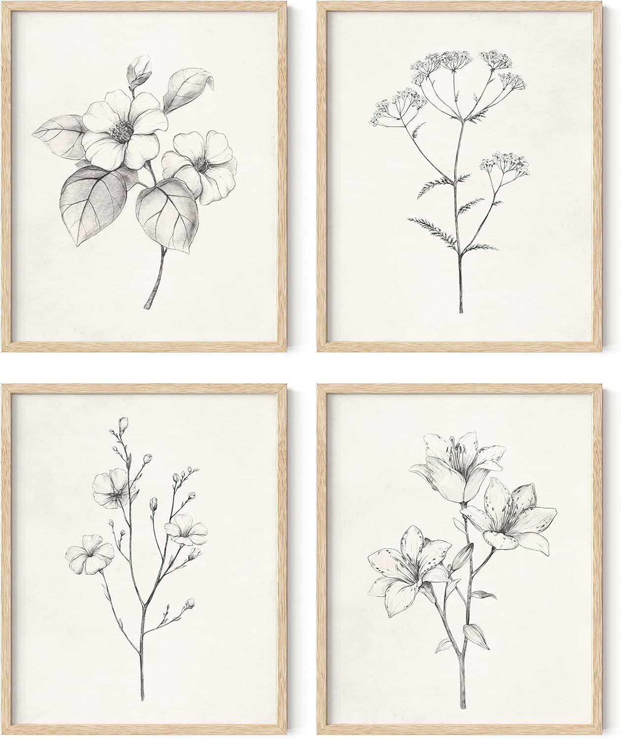 Wall Décor - HAUS AND HUES Framed Vintage Botanical Prints - Set of 4 Bedroom Wall Decor, Rustic Art for Bathroom, Farmhouse Decor Pictures for Living Room, Boho Decor (8x10, Beige Framed)