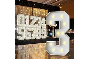 ZFUNBO 3FT Marquee Light Up Number,Marquee Numbers 3 Feet Tall, Large Led Sign for Baby Shower,Party,Birthday Decorations,Graduation,Prom(Number 3)