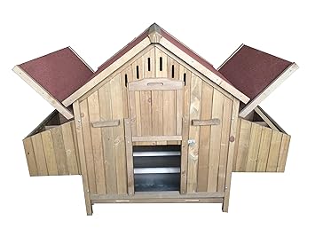 Poulailler Chaletacocotte Idéal Pour 4 à 10 Poules Amazonfr