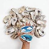 30Pcs 4"-6'' Oyster Shells for Crafts Large Oyster Shells for Crafts Christmas Ornaments Natural Oyster Shell Beach Themes Home Decor Painting Wedding