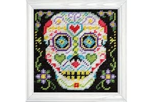 DESIGNWORKS INK Design Works Crafts Sugar Skull Needlepoint Kit, Multicoloured