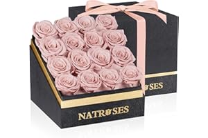 NATROSES Forever Preserved Roses in a Box, 100% Real Roses That Last Up to 3 Years, Flowers for Delivery Prime Birthday, Valentines Day Gifts for Her (Dusty Rose)