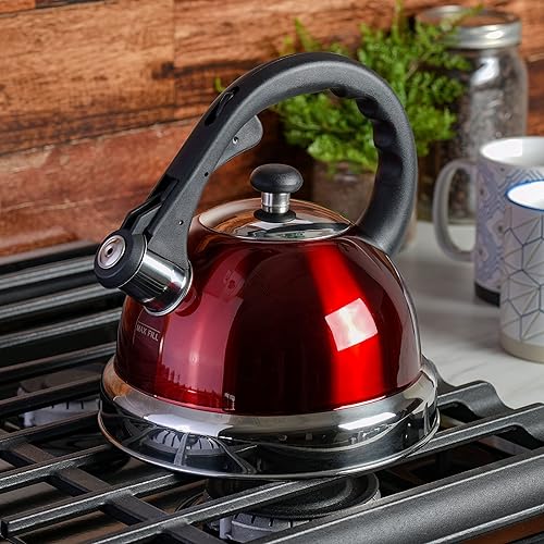 Mr Coffee Claredale Stainless Steel Whistling Tea Kettle,