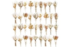 WGXX 10/12/24/36 Pack Mini Dried Flowers for Vase Wedding Various Mini Bouquet Dried Small Wildflowers Natural Flowers Bulk for Crafts DIY Decor (36, Plain Colour)