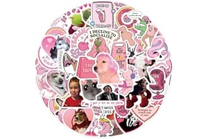 100 Pcs Funny Meme Aesthetic Stickers for Laptop Water Bottles Luggage Skateboard Journal Cars Scrapbooking Bicyle Notebook C