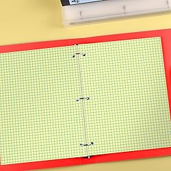 KAISA Loose Leaf Notebook Paper, 4x4 Quad Graph