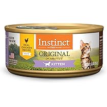 true instinct kitten food