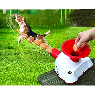 dog toy fetch machine