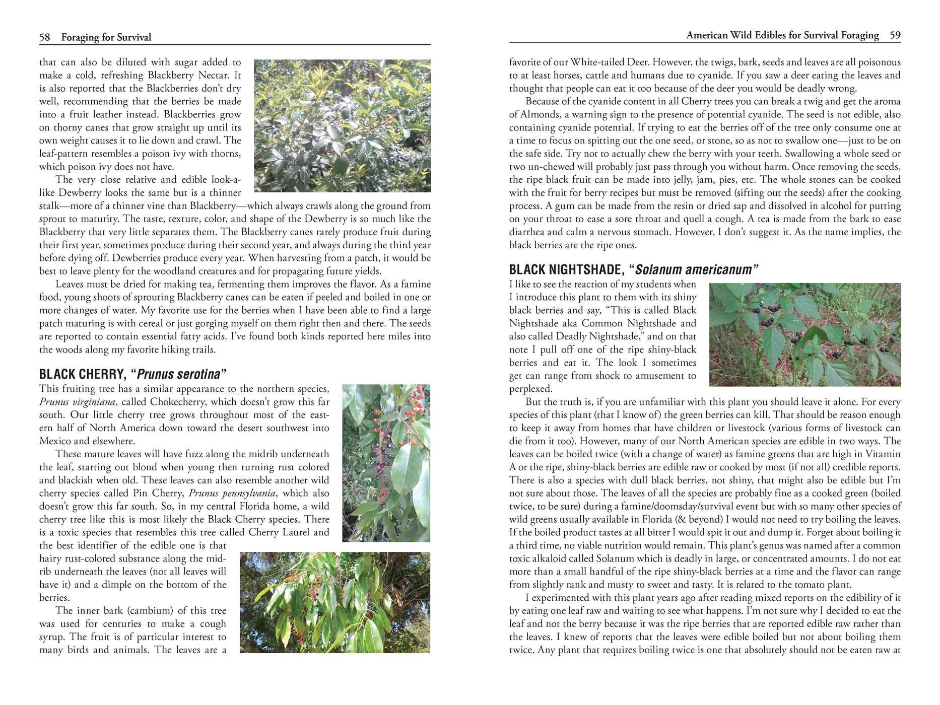 Foraging for Survival: Edible Wild Plants of North America