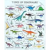 Dinosaur Blanket for Boys Types of Dinosaurs Birthday Party Decorations Gifts for Kids Toddler Girls Plush Soft Flannel Cute Animal Educational Throw Sheet 50" X 40" Decor for Room Couch Bed Nursery