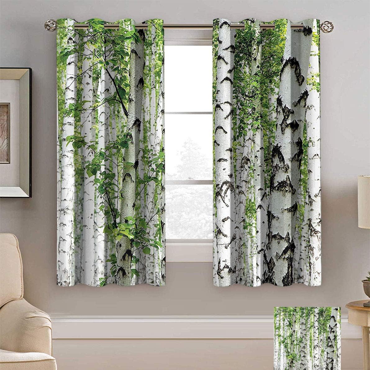 Alexdemo Amazing Woodland Decor Curtain, Birch Trees in The Forest Wildlife Nature