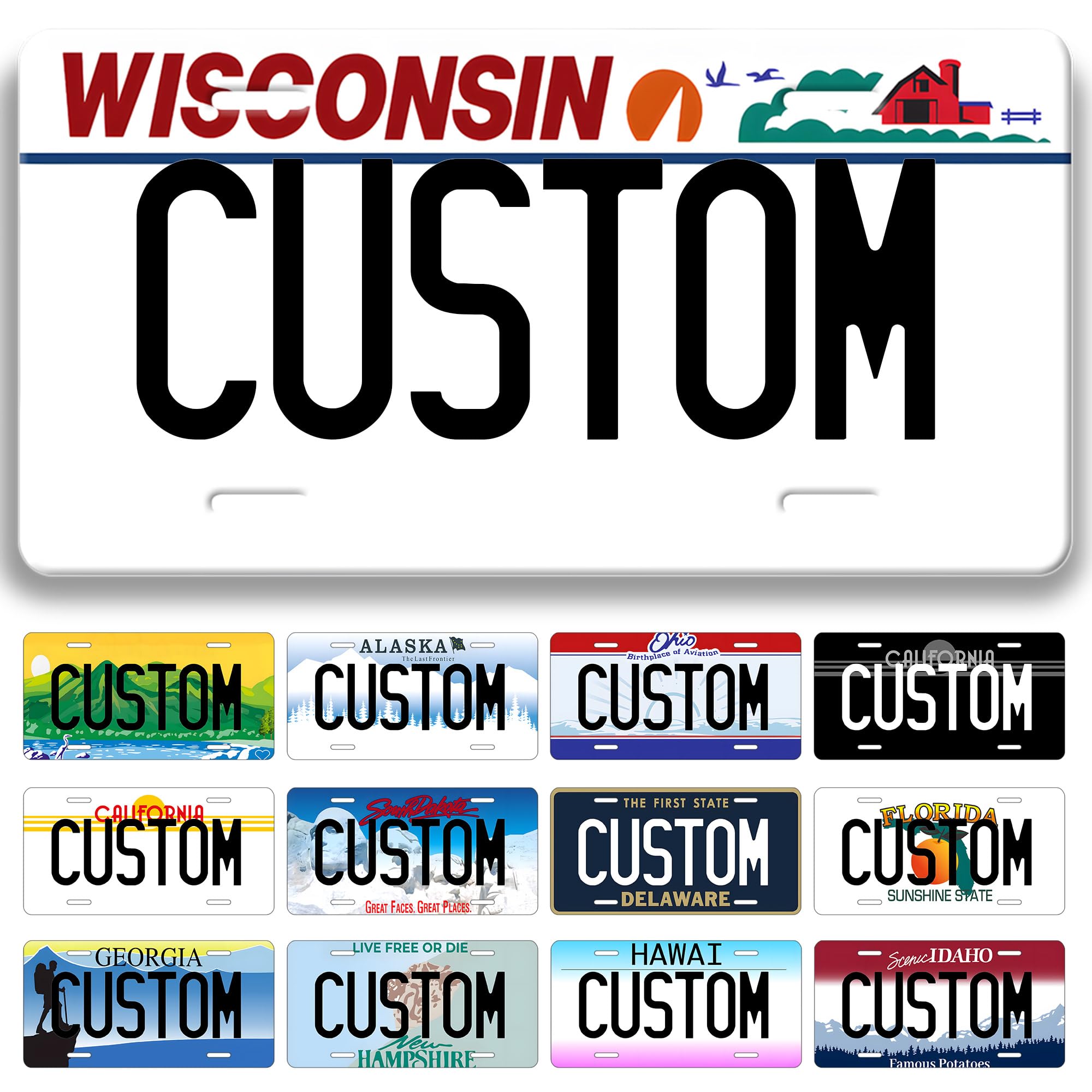 Metal Custom License Plate for Wisconsin - 6x12