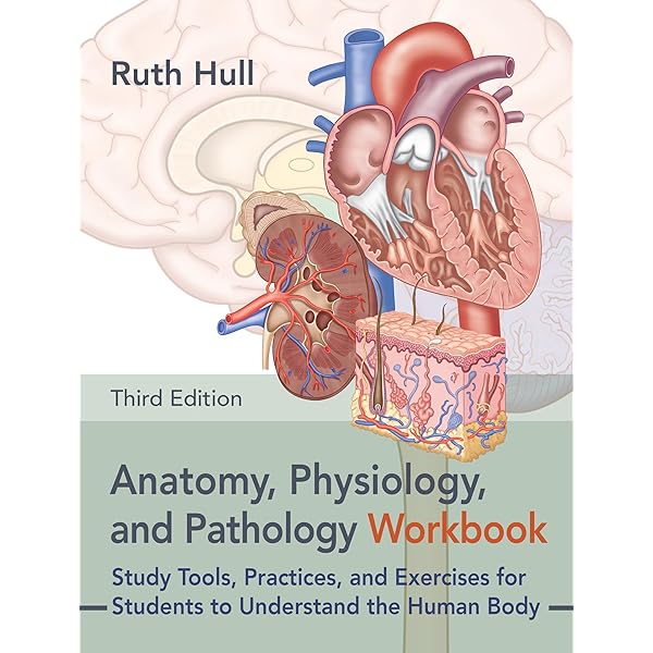 Anatomy, Physiology, and Pathology: Ruth Hull: 9781913088392