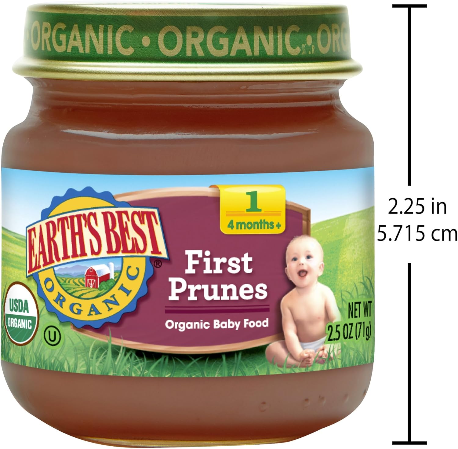 best 1st food for baby