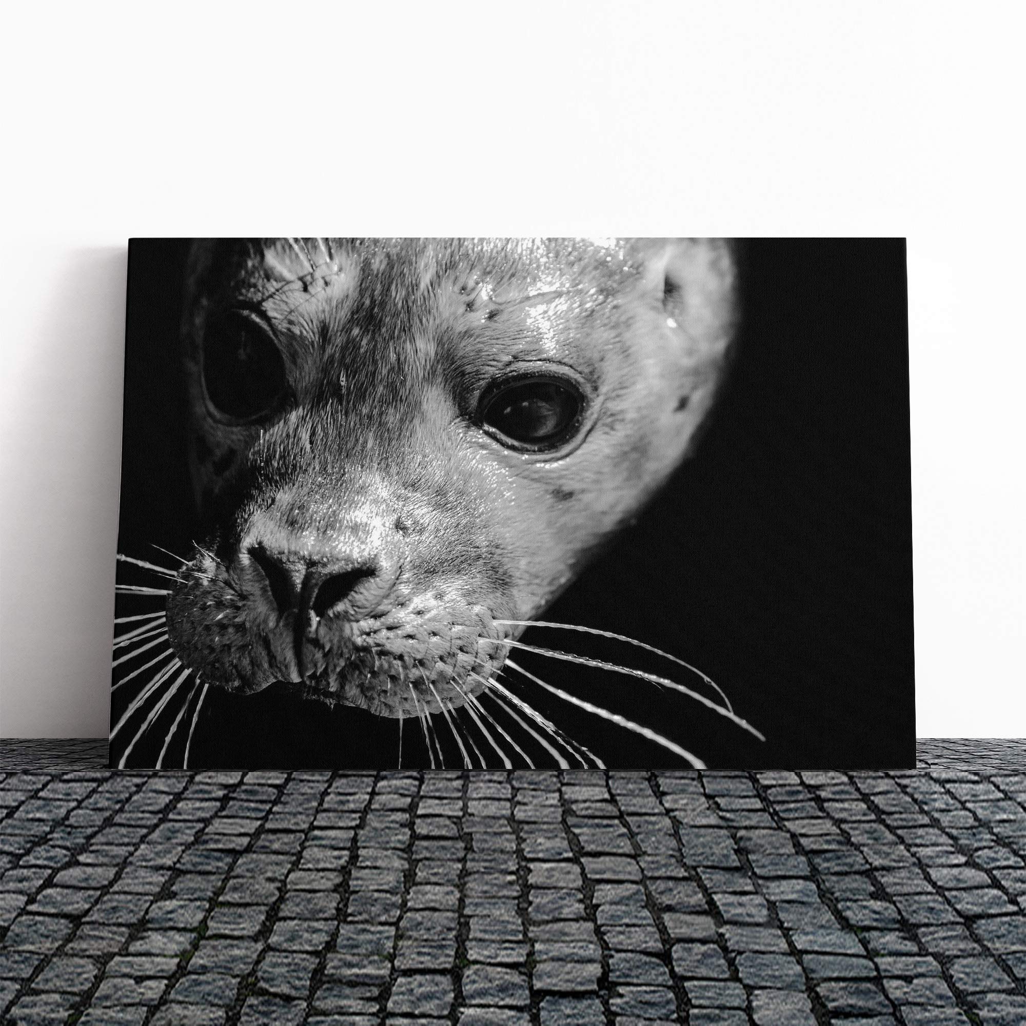 Seal Canvas Print | Gallery Wrapped 30mm Frame Wall Art | 20x14 inches | Ready to Hang | Modern Animals Picture | Living Room Bedroom Lounge Office