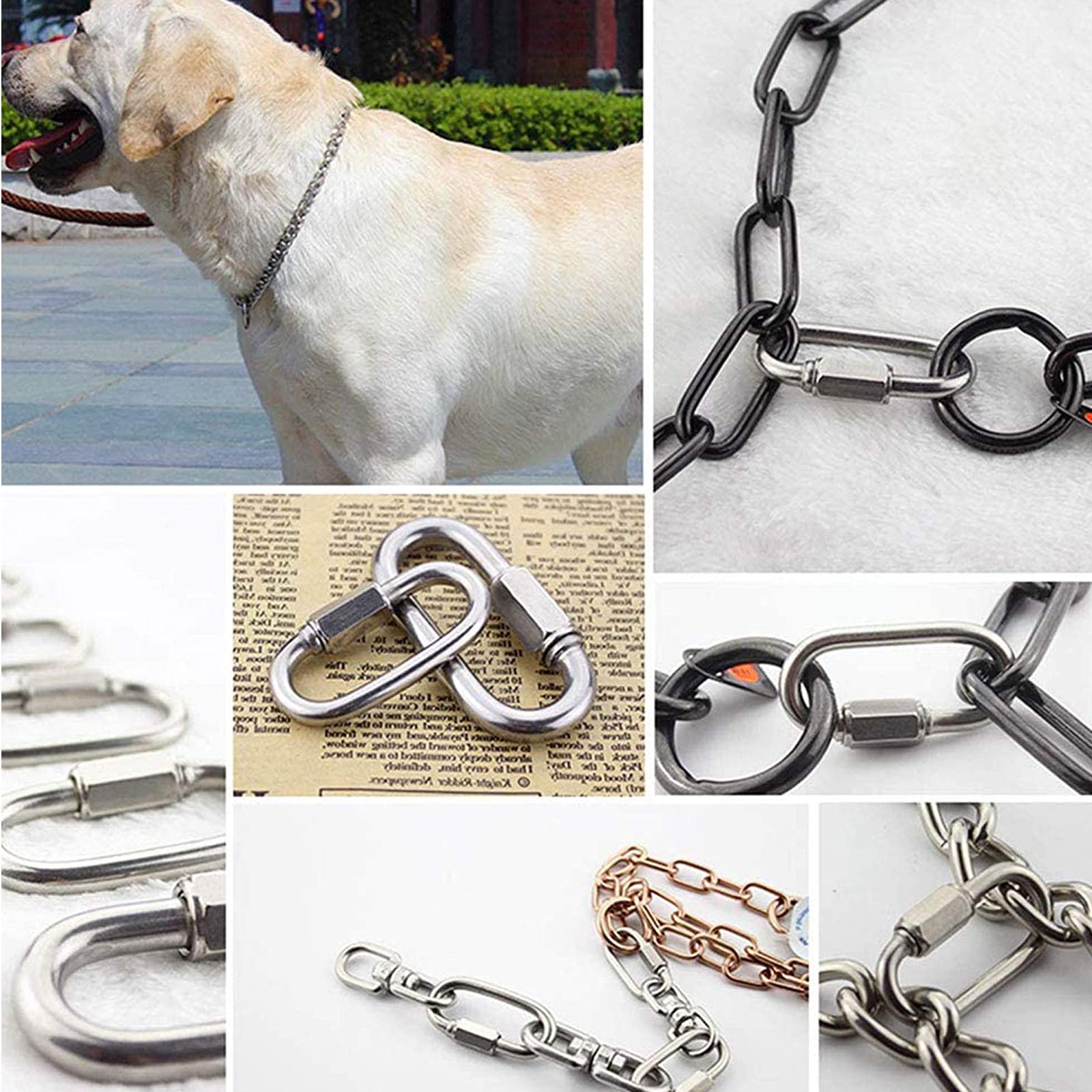 View 6