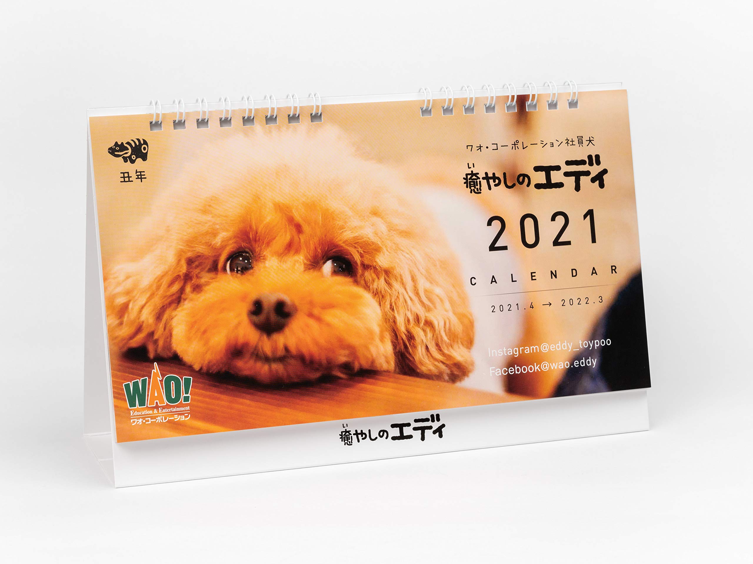 Amazon Co Jp 癒やしのエディ 21年卓上カレンダー 4月スタート 株式会社ワオ コーポレーション 文房具 オフィス用品