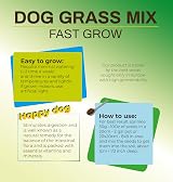R&R SHOP Grass Seed Mix for Dogs 150gr European Seeds Fast Growing view 3