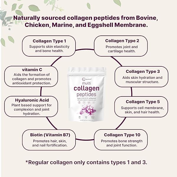 MICRO INGREDIENTS MULTI COLLAGEN PEPTIDES POWDER, 2LB | TYPE I, II, III, V, X + BIOTIN, VITAMIN C & HYALURONIC ACID | UNFLAVORED | SUPPORTS HAIR, SKIN & JOINT HEALTH | KETO, NON-GMO