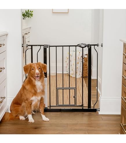 Pet Gate With Cat Door Carlson 24