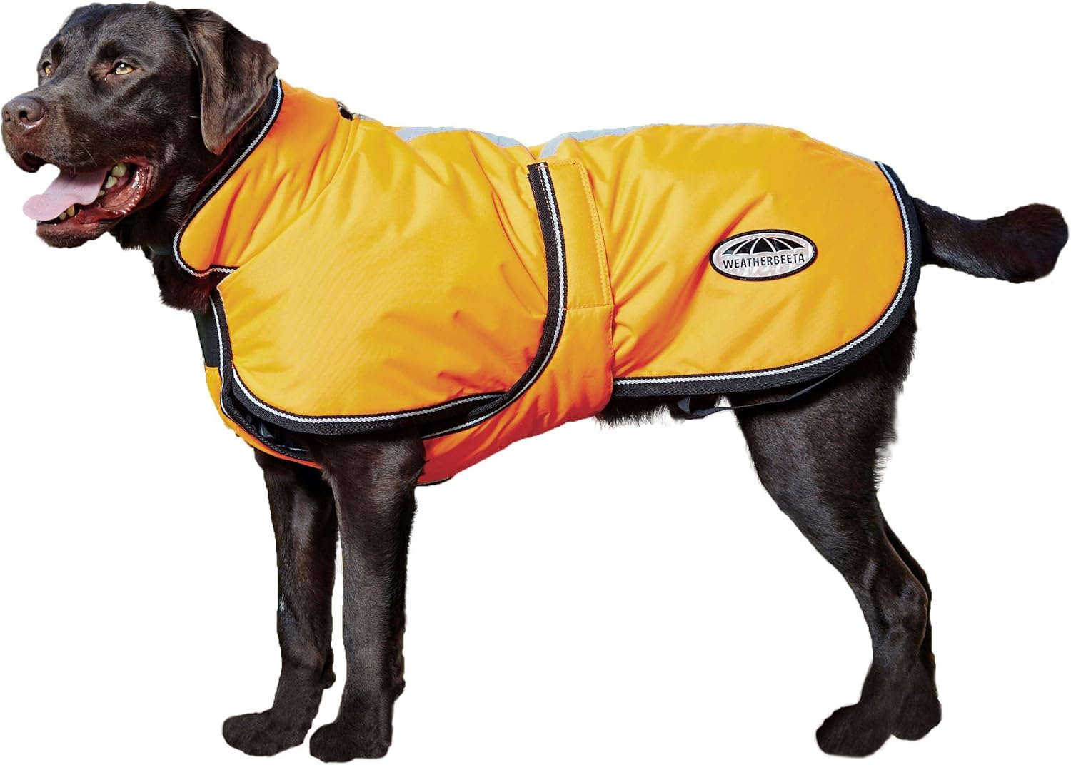 Weatherbeeta dog coat with harness hole Clearance
