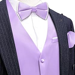 Barry.Wang Mens Light Purple Formal Suit Vest