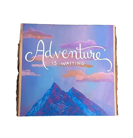 Amazon Com Adonis554dan Mountain Painting Wood Wall Art Colorful