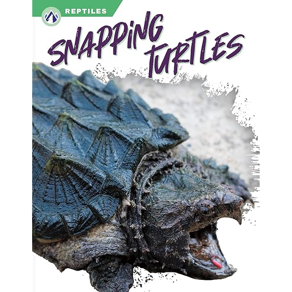 Amazon.com: Snapping Turtles (Bullfrog Books: Reptile World