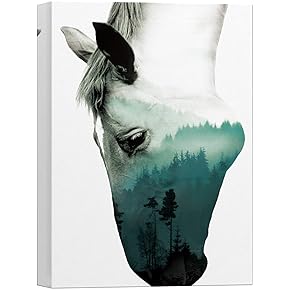 SIGNWIN Canvas Wall Art A Wild Horse and...