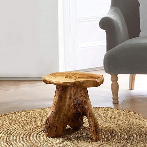 Greenage Cedar Roots Mushroom Stool Natural Wood Side Table 12